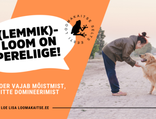 Eesti Loomakaitse Selts: koer vajab mõistmist, mitte domineerimist