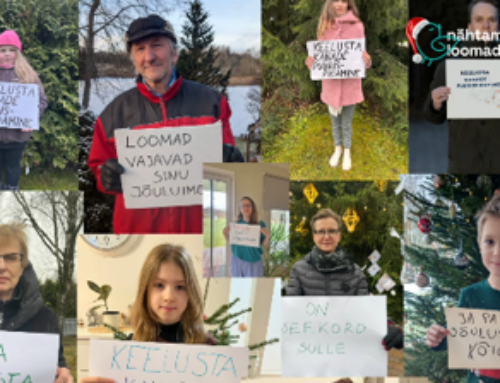 Nähtamatud Loomad saatis Michalile jõulutervituse üleskutsega aidata loomi