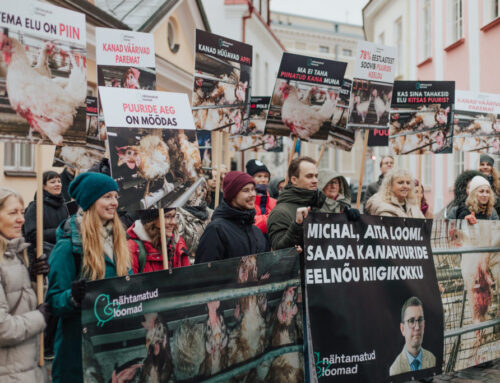 Valitsuse ees toimus suur meeleavaldus kanapuuride keelu toetuseks