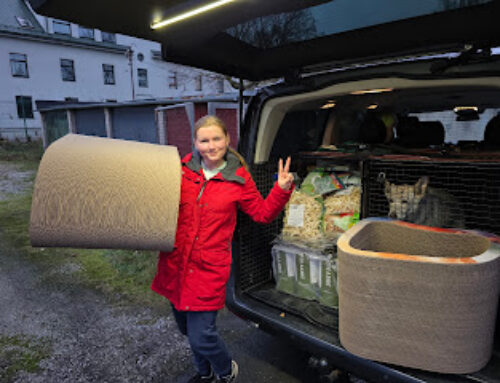 Aitäh MiuMjau lemmikloomapood!