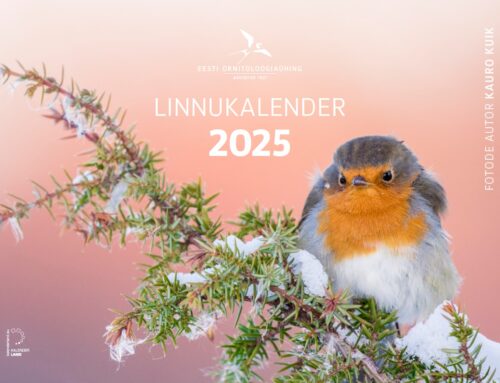 Müügile jõudis 2025. aasta linnukalender