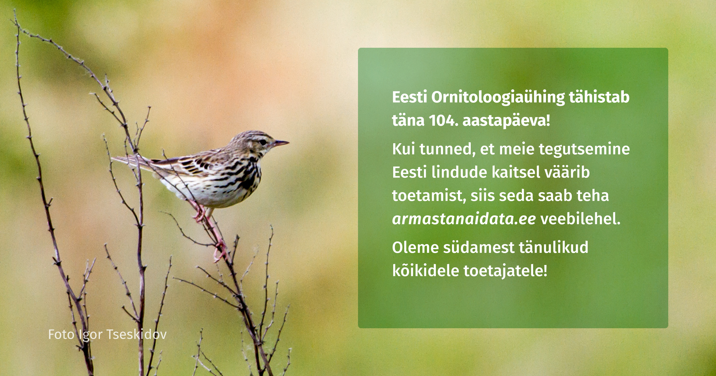 2239_FB-EOÜ-104
