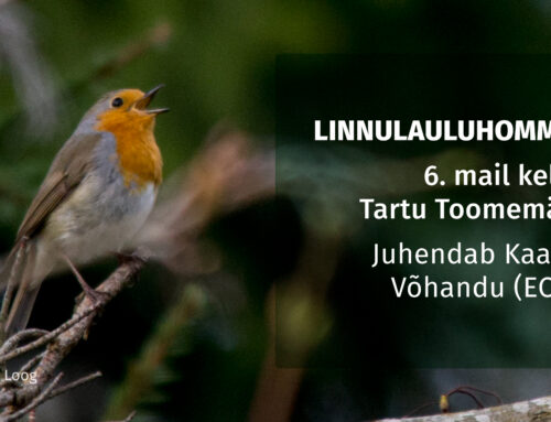 Linnulauluhommik