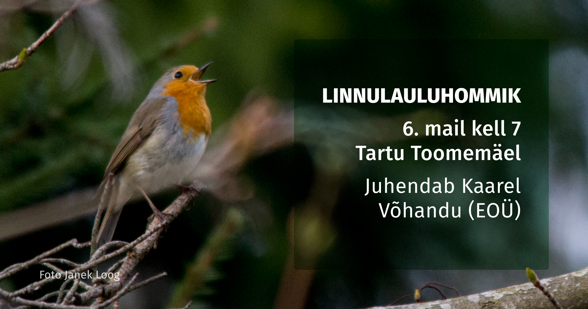 2242_FB-Linnuhommik