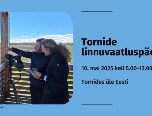 Ornitoloogiaühing kutsub laupäeval tornidesse linde vaatlema