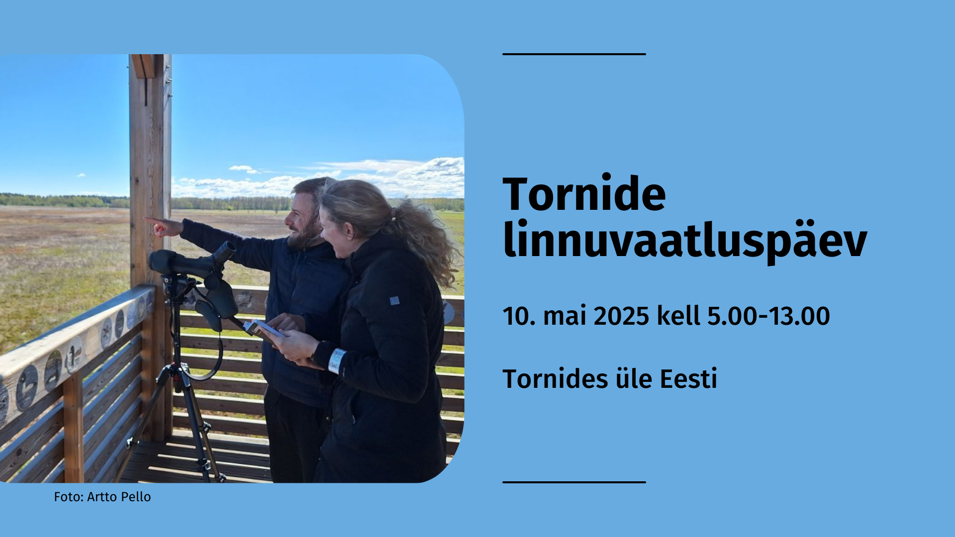 2243_Tornide_linnuvaatluspäev_2025
