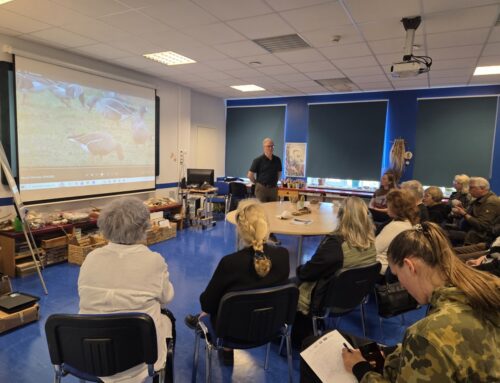 Kohalikud arutlesid Hiiumaa rannaniitudel peatuvate väike-laukhanede teemal