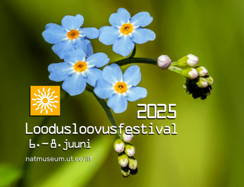 Reedel saab Loodusloovusfestivali raames õppida tegema vaatlusi uue linnuatlase tarvis