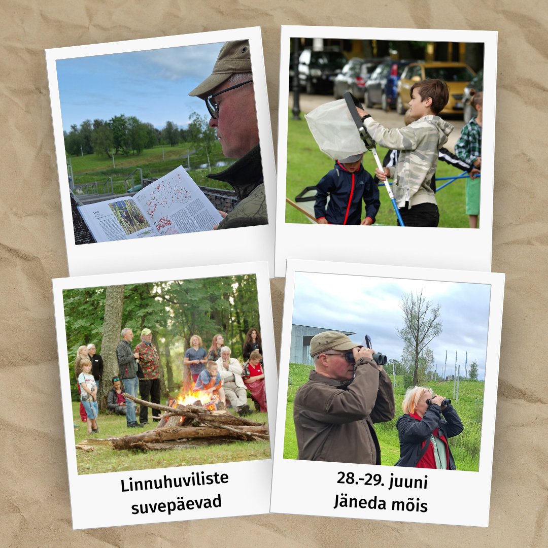 2326_Linnuhuviliste_suvepäevad_28.-29._juuni_Jäneda_mõisas