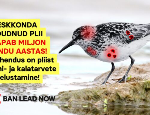 Valitsus ei peaks tarbetult venitama üleminekuajaga pliist laskemoona ja võrgu- ja õngeraskuste teel