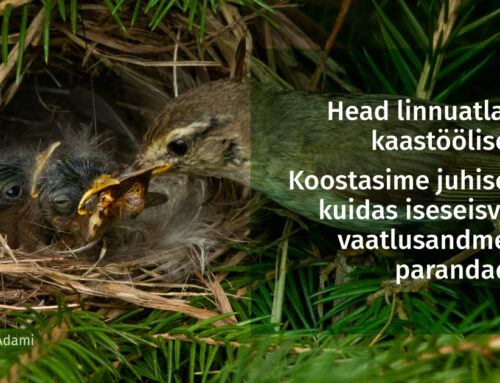 Linnuatlase töörühm kutsub liituma ringkirjaga ja jagab juhiseid vaatluste parandamiseks