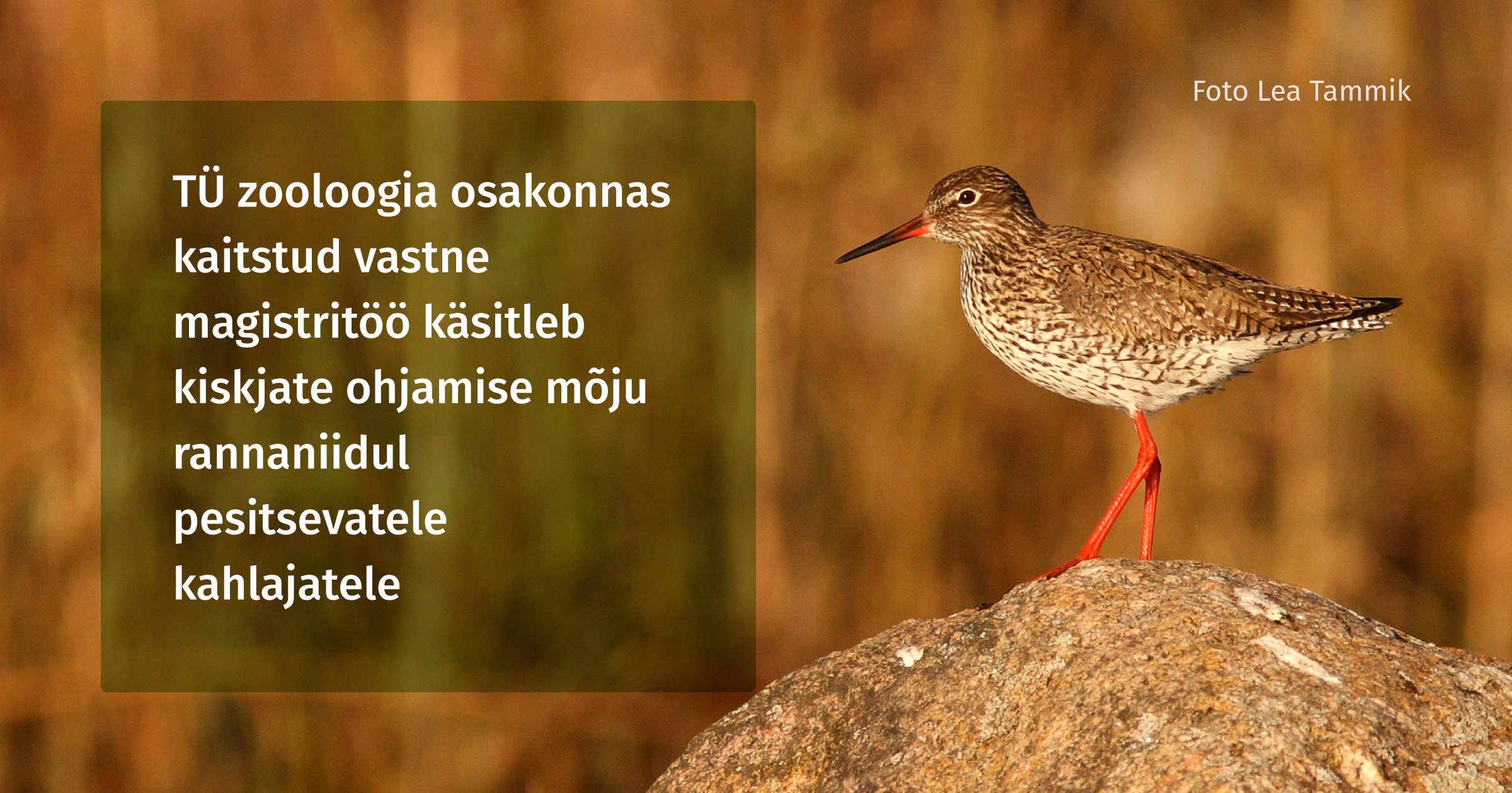 2348_FB-magistritöö