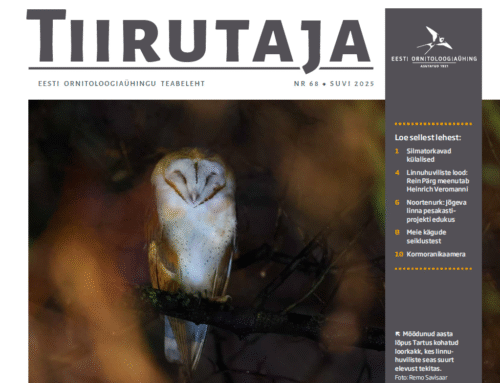 Suvisest Tiirutajast saab lugeda silmatorkavatest sulelistest külalistest