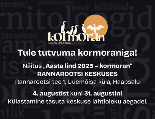Kormorani rändnäitus jõudis Haapsallu