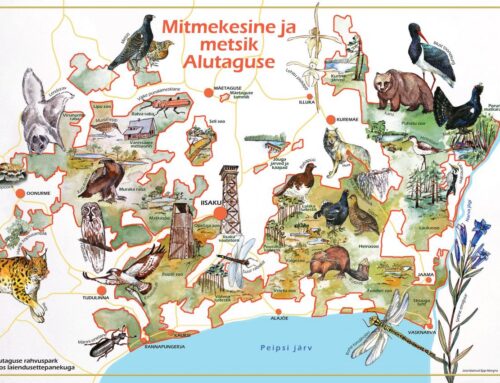 EKO: Alutaguse rahvuspargi laiendamine on hädavajalik
