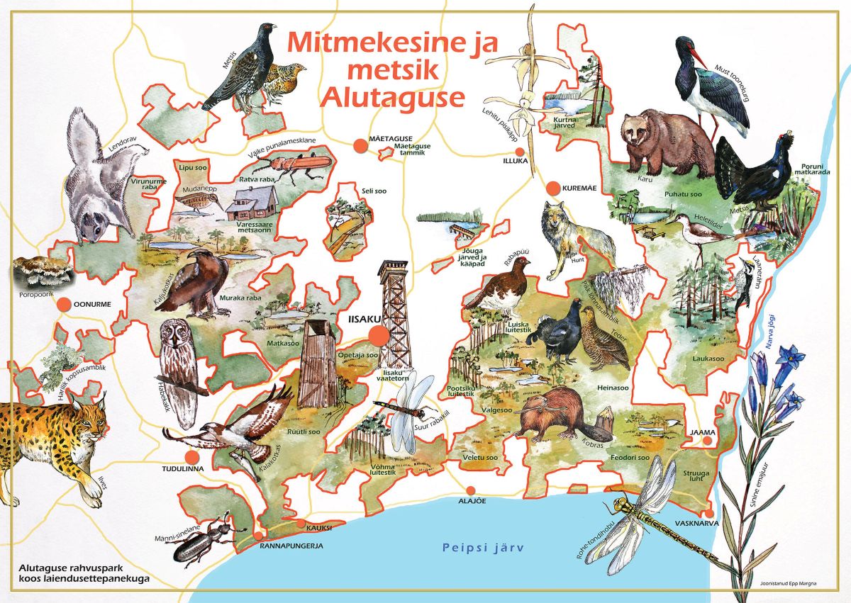 2388_Alutaguse_rahvuspark_kaart_Epp_Margna