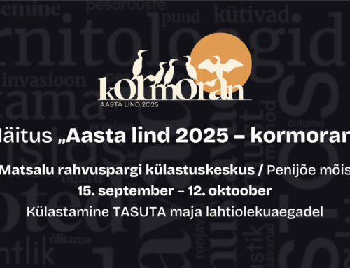 Matsalu loodusfilmide festivalil on kohal ka kormoran
