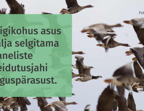 Haneliste heidutusjahi kohtuvaidlus jätkub Riigikohtus