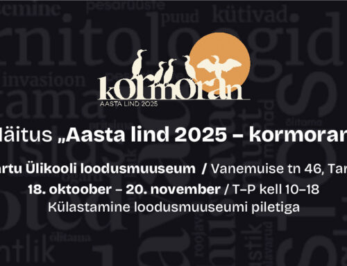 Kormorani rändnäitus peatub Tartu ülikooli loodusmuuseumis