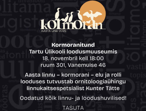 Kae karbast: kormoranitund Tartu Ülikooli loodusmuuseumis!