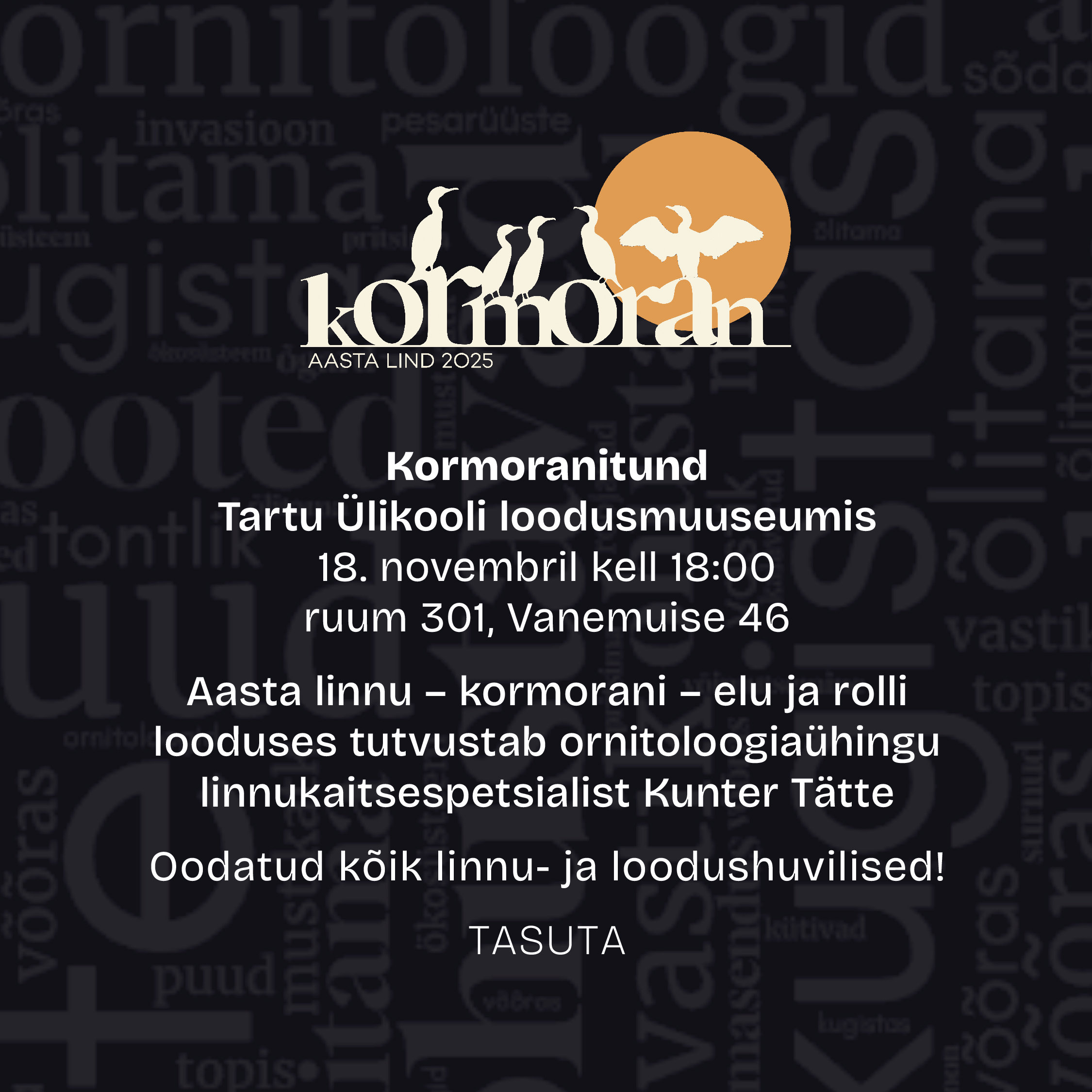 2431_Kormoran_LOODUSÕHTU_UT_ruut