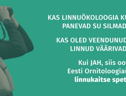 Eesti Ornitoloogiaühing otsib linnukaitse spetsialisti