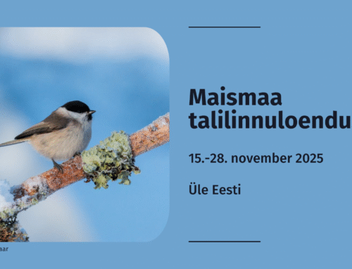 Linnutundjad on oodatud osalema alanud maismaa talilinnuloendusel