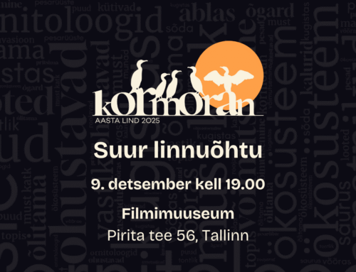 Kormorani aasta saab punkti suurel linnuõhtul