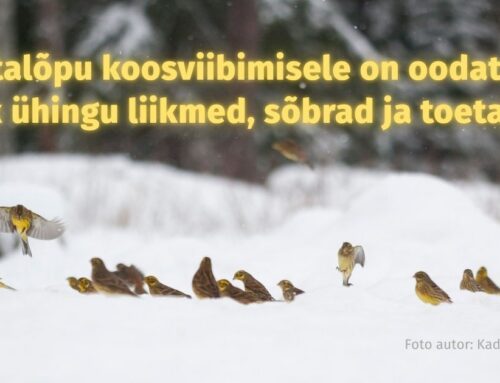 Aastalõpu koosviibimisele on oodatud kõik ühingu liikmed, sõbrad ja toetajad!