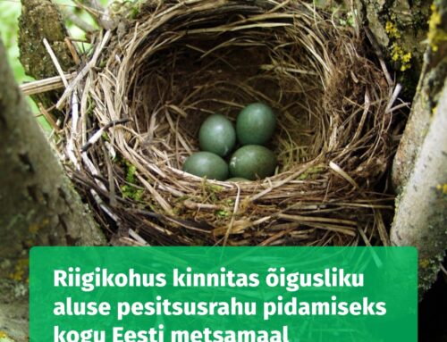 Riigikohus kinnitas õigusliku aluse pesitsusrahu pidamiseks kogu Eesti metsamaal