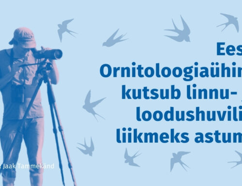 Eesti Ornitoloogiaühing kutsub linnu- ja loodushuvilisi liikmeks astuma