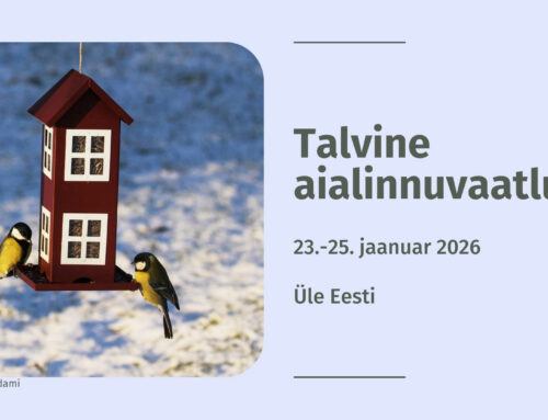 Täna algab üle-eestiline talvine aialinnuvaatlus