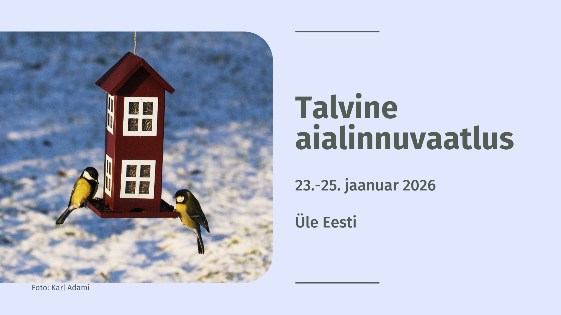 2486_FB_algab_talvine_aialinnuvaatlus