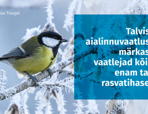 Talvisel aialinnuvaatlusel märkasid vaatlejad kõige enam taas rasvatihaseid