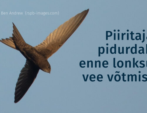 Piiritaja pidurdab enne lonksu vee võtmist