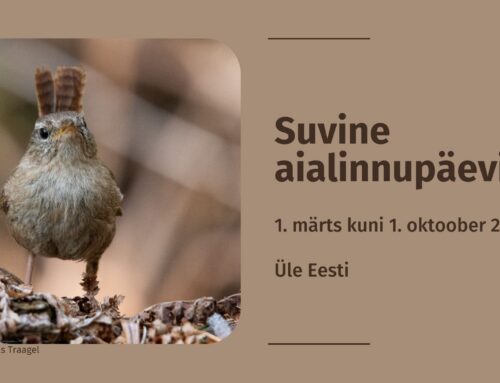 Talve murtud selgroog tähendab, et taas on aeg lahti lüüa suvine aialinnupäevik