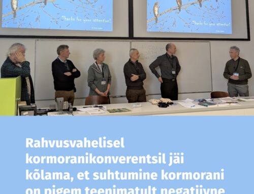 Kormoranikonverentsil jäi kõlama, et suhtumine kormorani on pigem teenimatult negatiivne