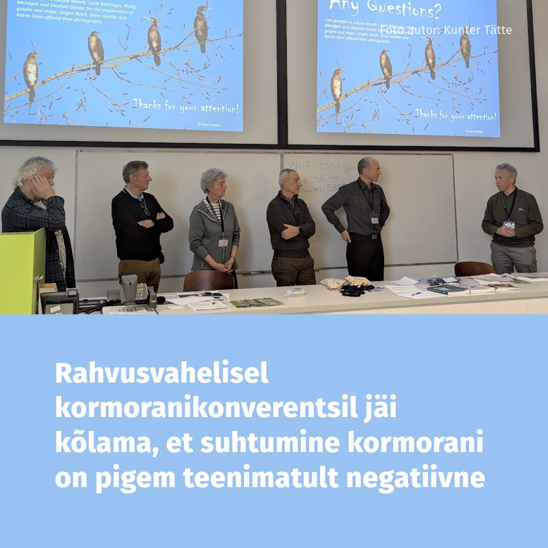 2536_RUUT_kormo_konverents