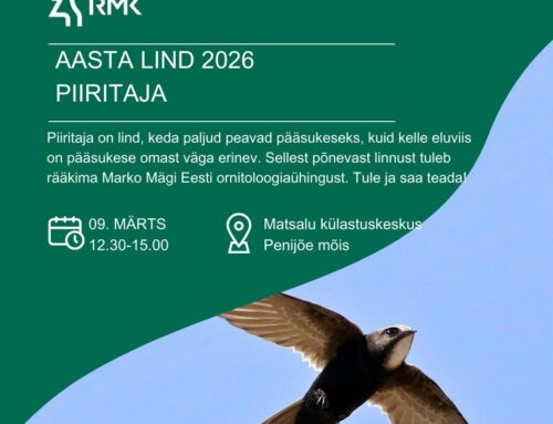 Matsalus toimub aasta lindu tutvustav looduspäev
