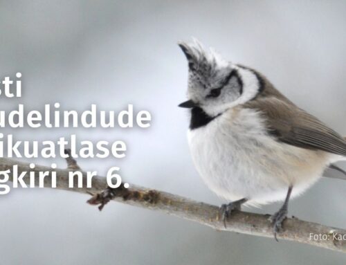 Haudelindude atlase teine hooaeg hakkab tasapisi peale