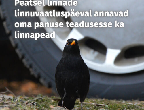 Peatsel linnade linnuvaatluspäeval annavad oma panuse teadusesse ka linnapead