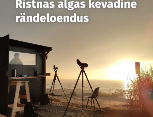 Ristnas algas kevadine rändeloendus