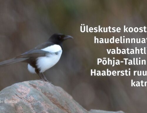Üleskutse koostööks linnuatlase vabatahtlikele Põhja-Tallinna ja Haabersti ruutude katmisel