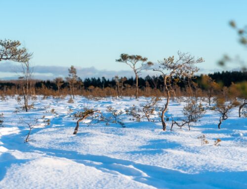 Märgalad on osa Eesti identiteedist ja tulevikust