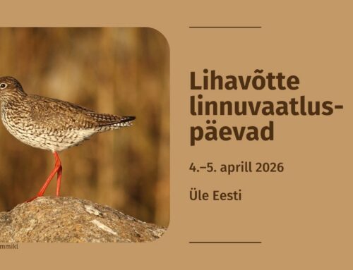 Lihavõtte nädalavahetusel vaatle saabunud rändlinde