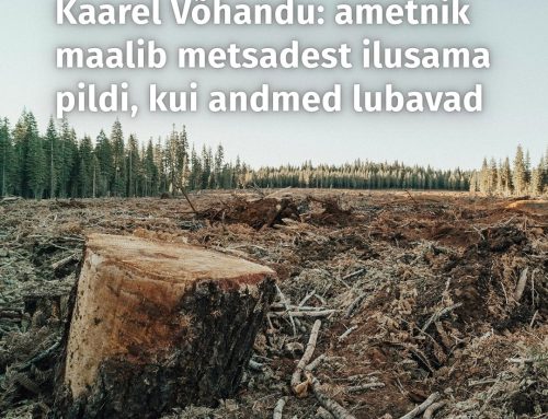 Kaarel Võhandu: ametnik maalib metsadest ilusama pildi, kui andmed lubavad