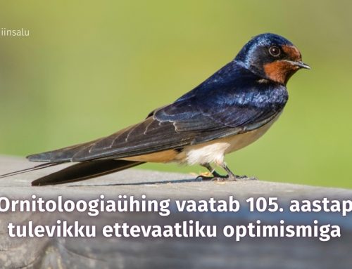 Eesti Ornitoloogiaühing vaatab 105. aastapäeval tulevikku ettevaatliku optimismiga