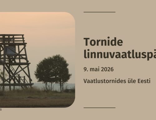 Laupäeval saab tosinas linnutornis kogenud ornitoloogide juhendamisel linde vaadelda