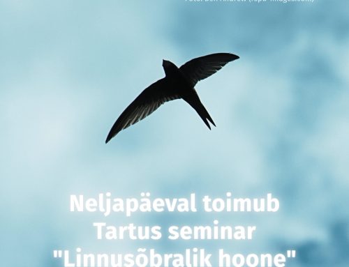 Neljapäeval toimub Tartus seminar “Linnusõbralik hoone”