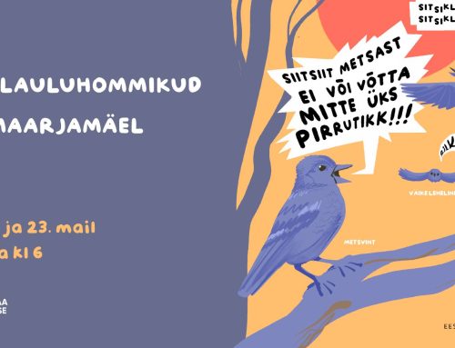 Huvilistel on võimalus linnuhommikutel tundma õppida Tallinnas toimetavaid sulelisi